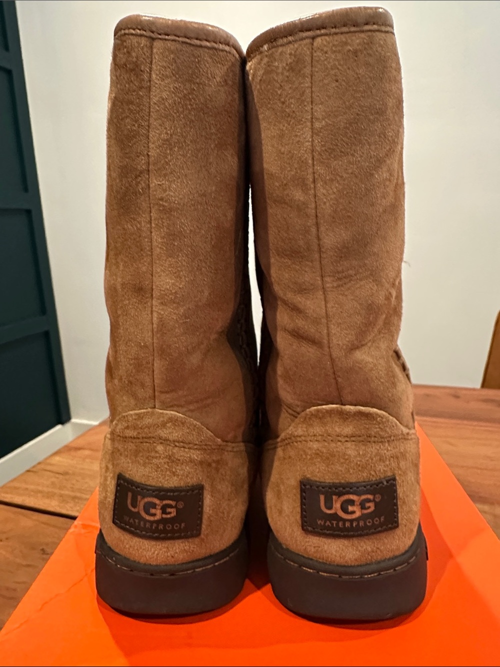 UGG Chestnut Suede Mid-Calf Waterproof Boots Waterproof